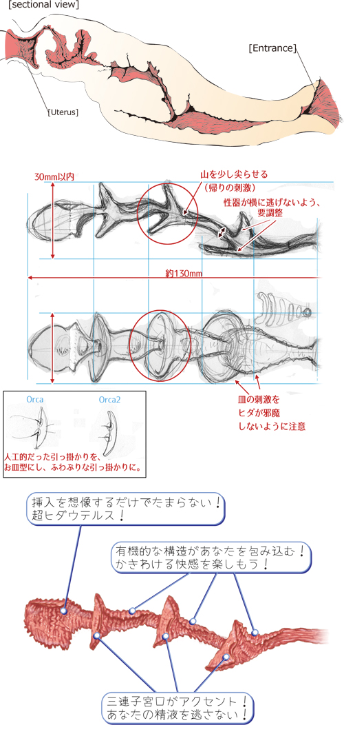 Dolphin！（ドルフィン）画像2