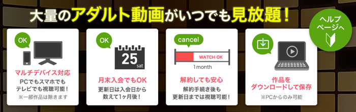 FANZA月額動画の特徴